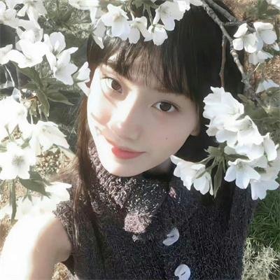 小老鼠历险记