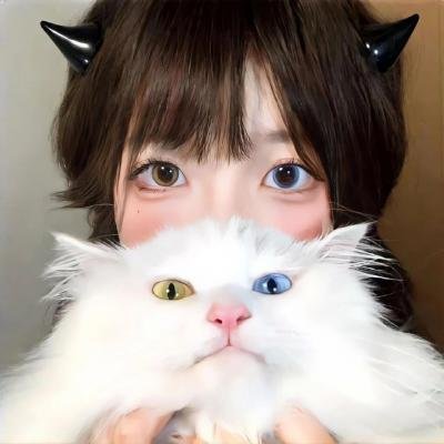 生命速写